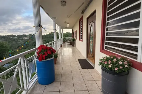 Km 2.4 Camino Algarrobo Buena Vista Ward Bayamon PR 00956