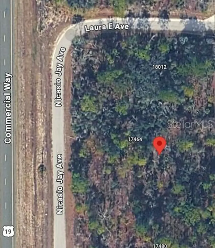 17496 Nicasio Jay Avenue Weeki Wachee FL 34614