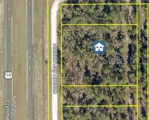 17496 Nicasio Jay Avenue Weeki Wachee FL 34614