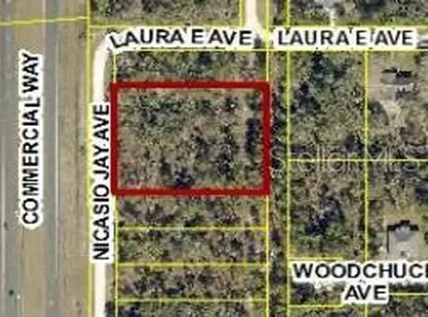 17496 Nicasio Jay Avenue Weeki Wachee FL 34614