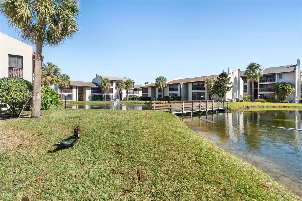 3848 N Lake Drive Tampa FL 33614