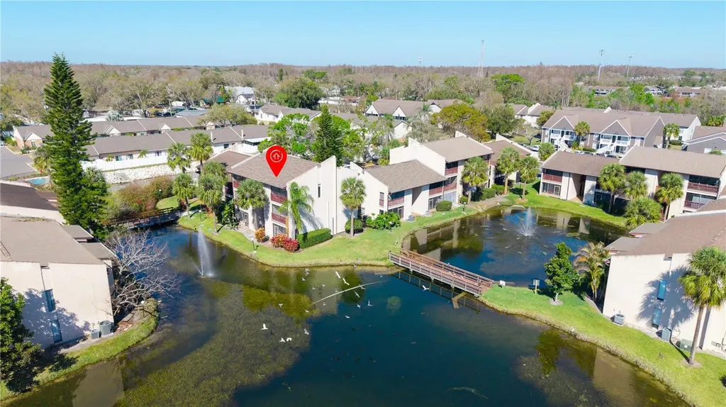 3848 N Lake Drive Tampa FL 33614