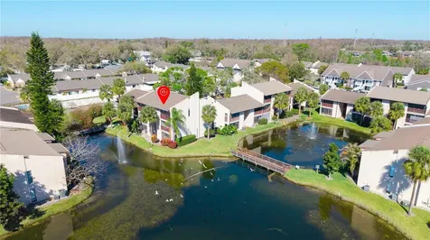 3848 N Lake Drive Tampa FL 33614