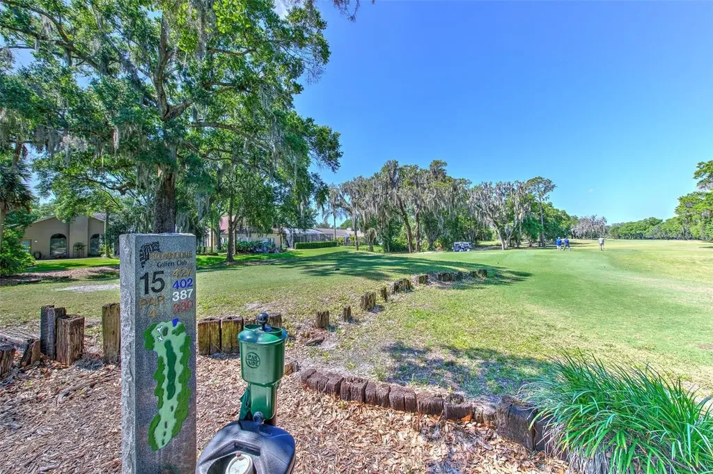 4719 Portobello Circle Valrico FL 33596