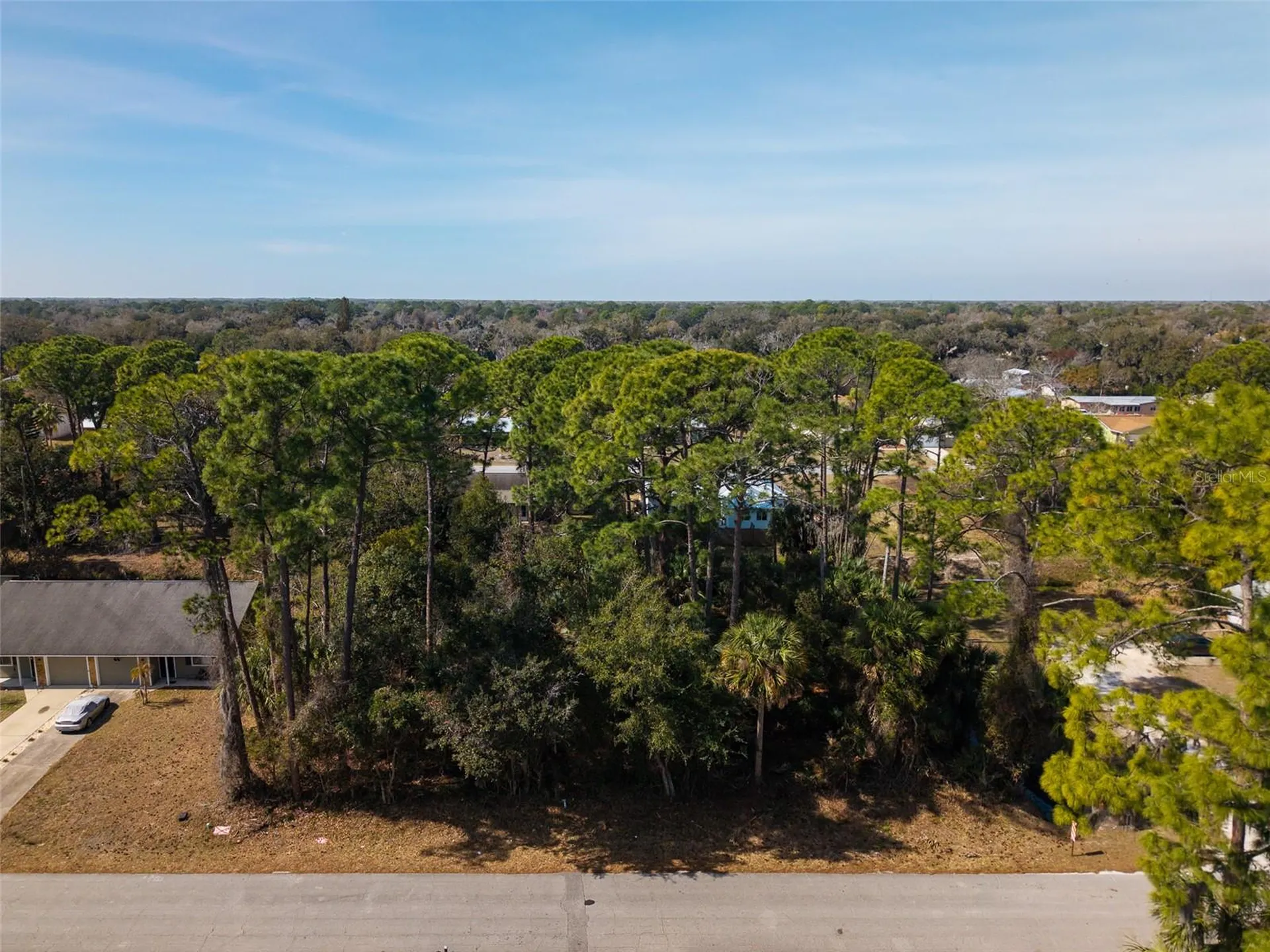 3128 India Palm Drive Edgewater FL 32141
