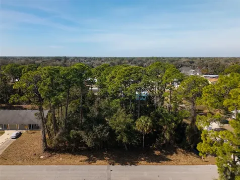 3128 India Palm Drive Edgewater FL 32141