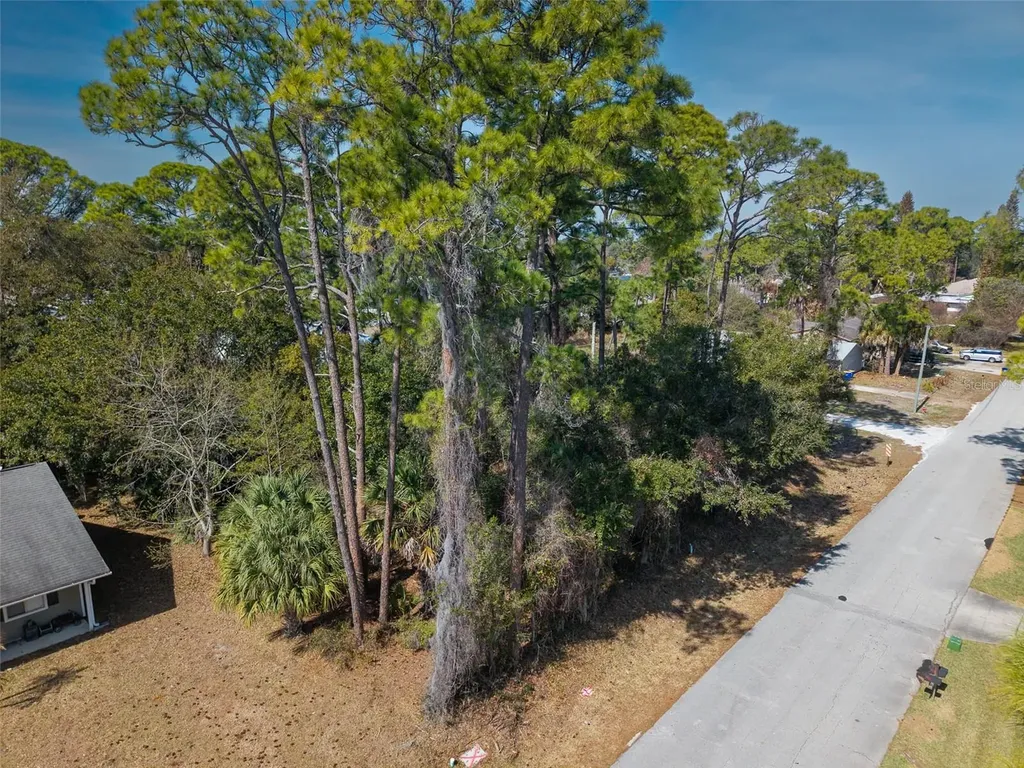 2904 India Palm Drive Edgewater FL 32141