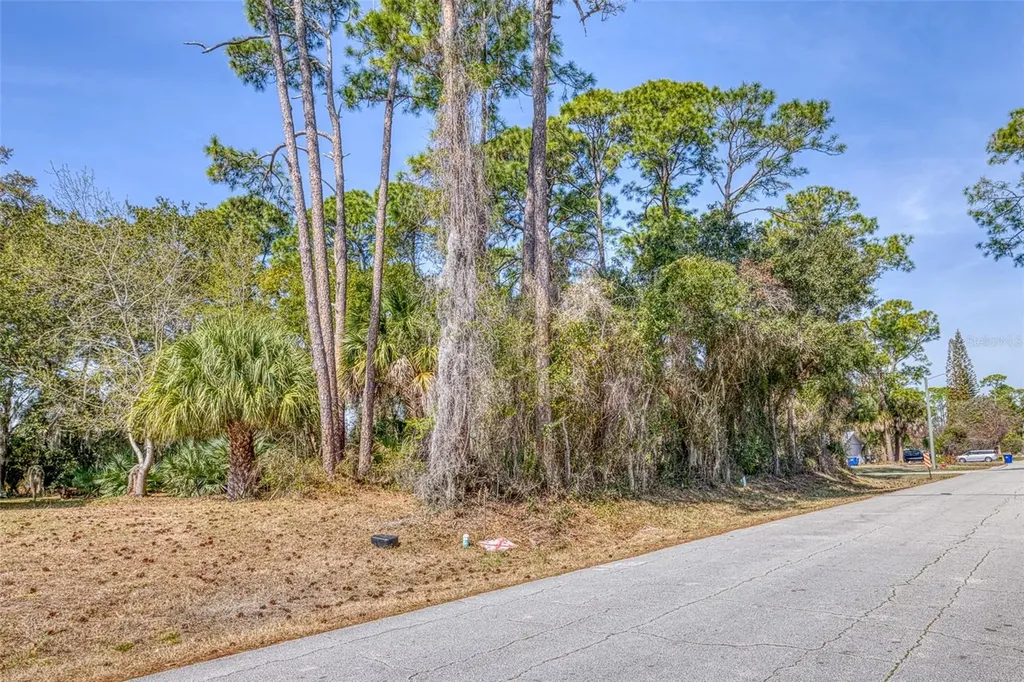 2904 India Palm Drive Edgewater FL 32141