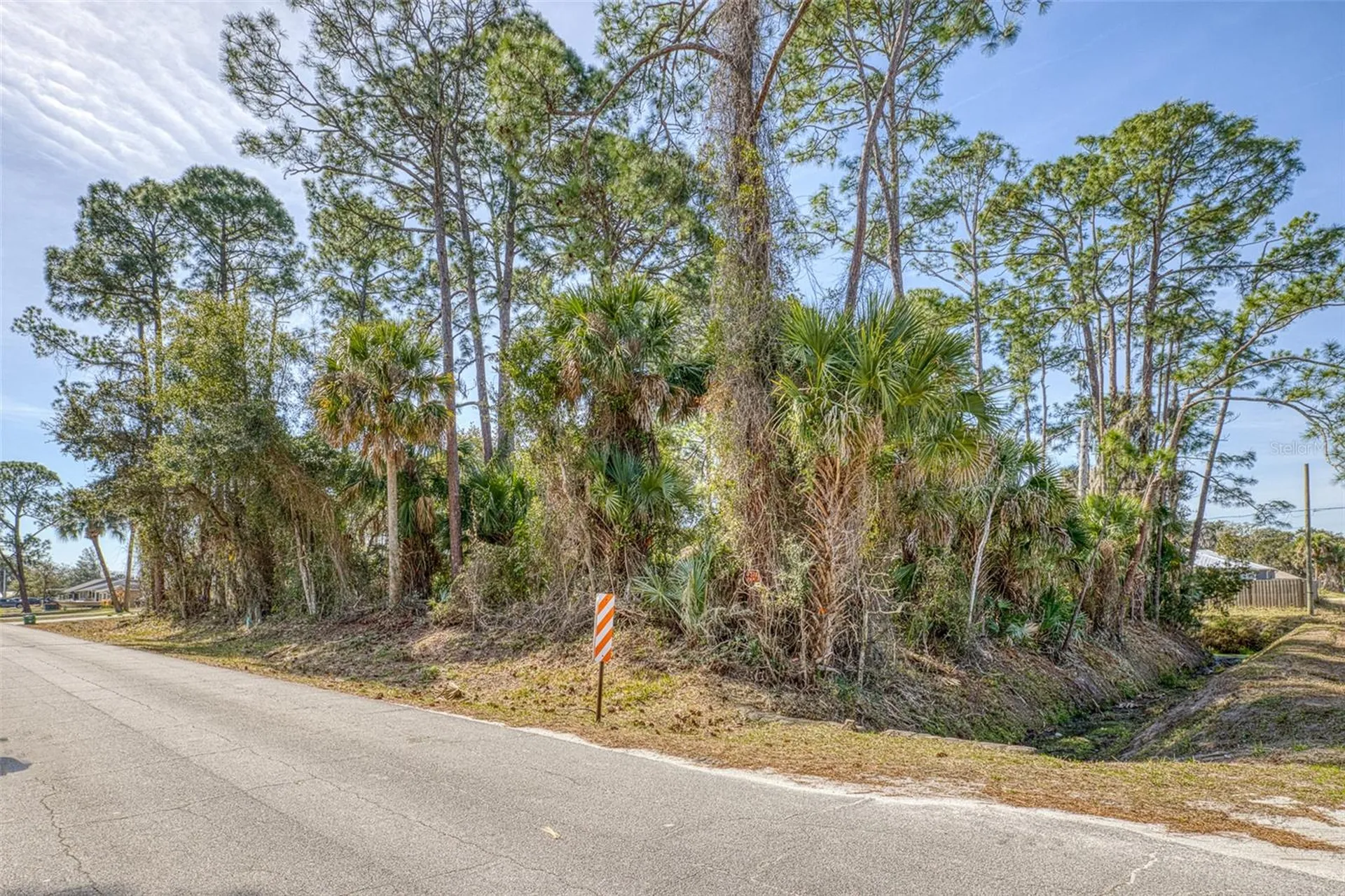 2904 India Palm Drive Edgewater FL 32141