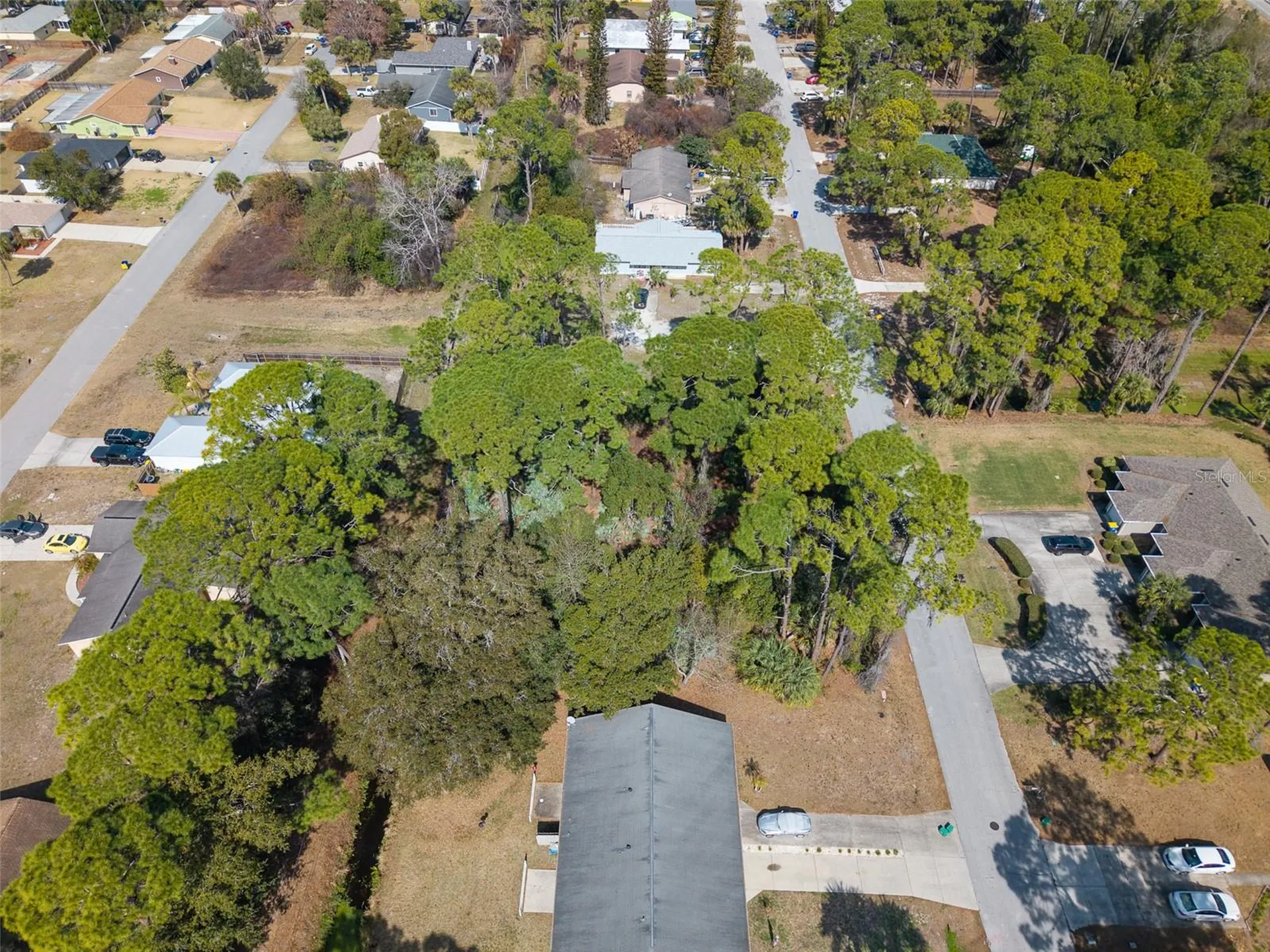 2904 India Palm Drive Edgewater FL 32141