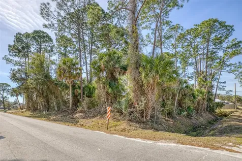 2904 India Palm Drive Edgewater FL 32141