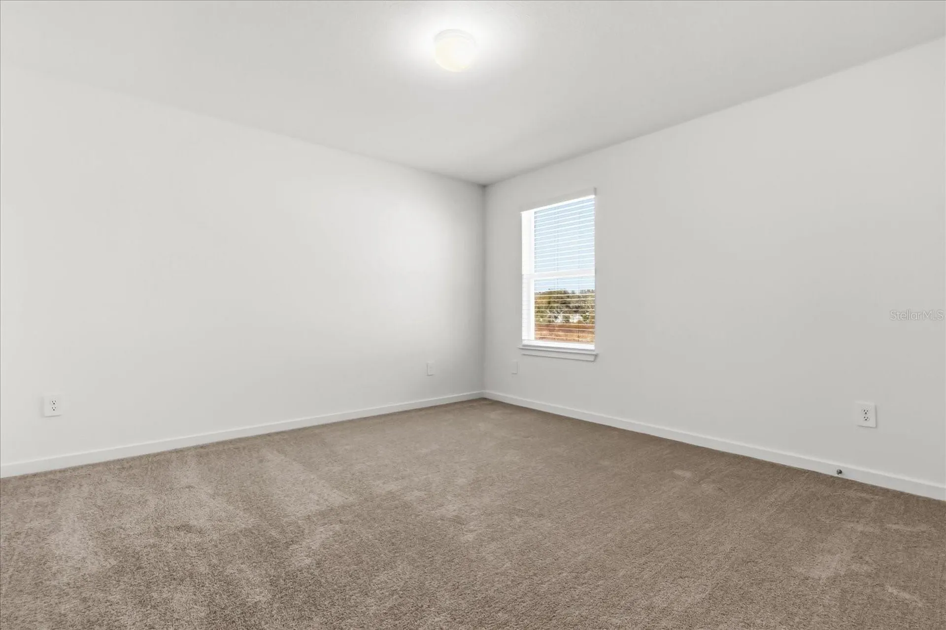 11216 Sycamore Glen Loop Thonotosassa FL 33592