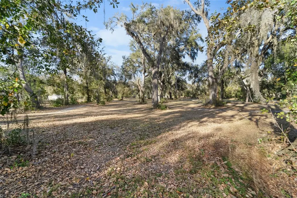 3007 Owls Nest Lane Plant City FL 33565