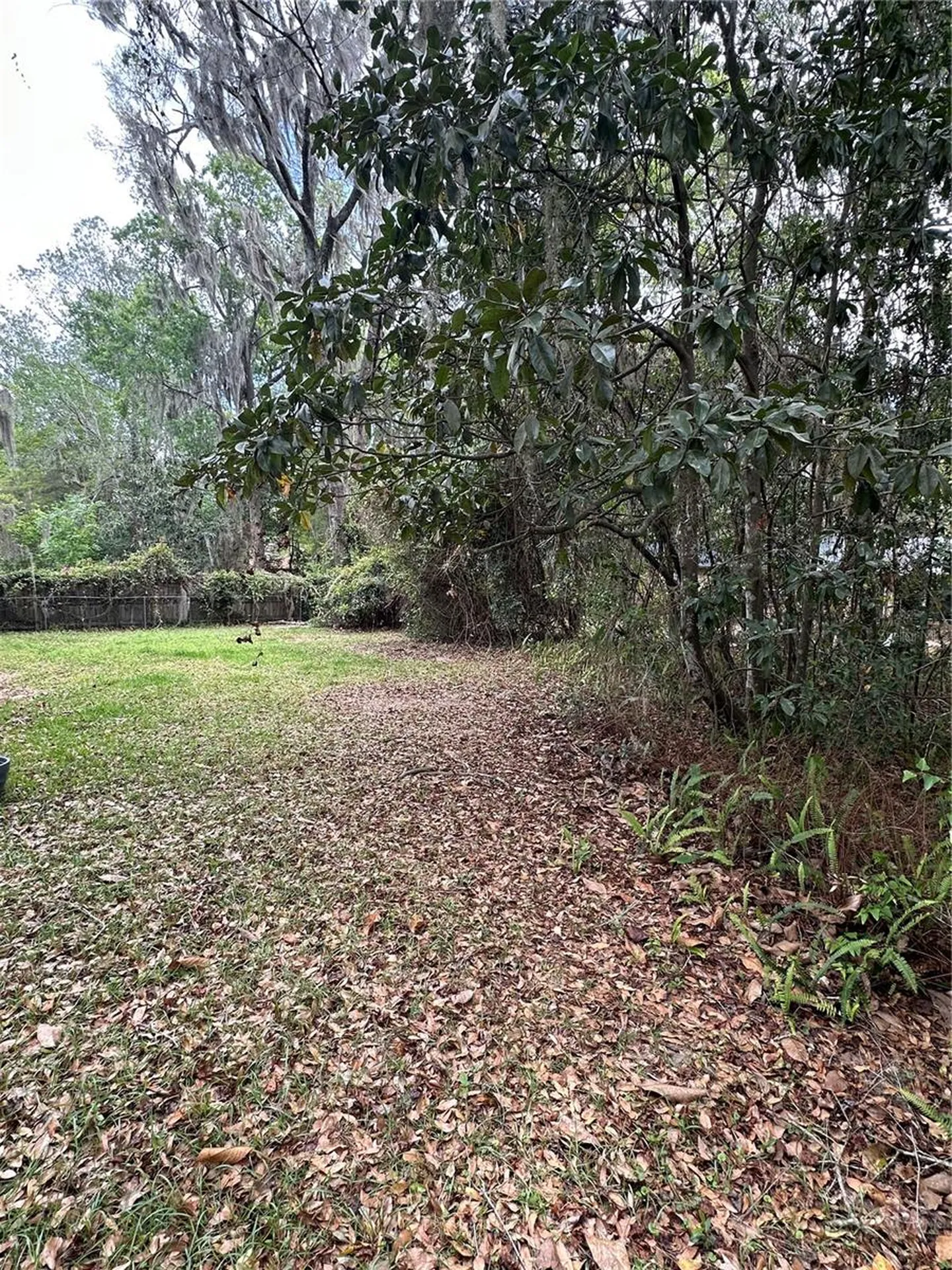 5301 NW 25th Place Gainesville FL 32606