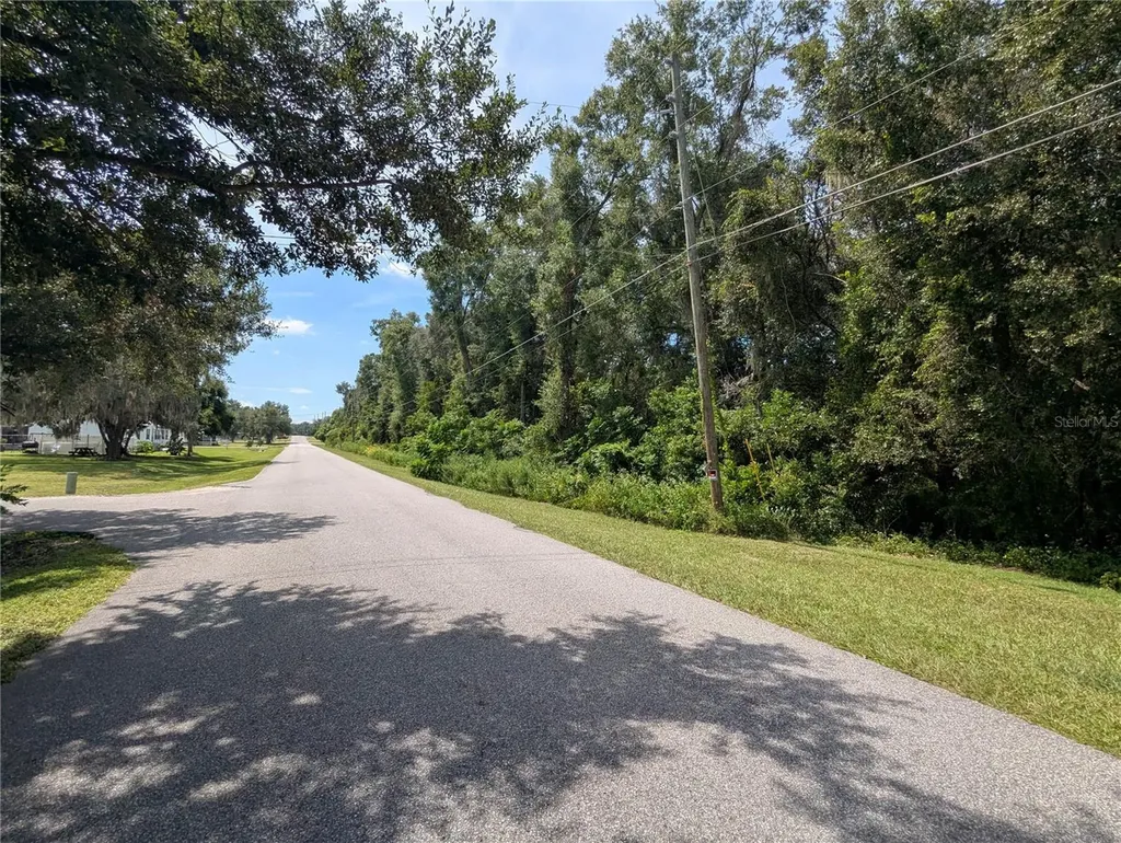 0 SE 99th Avenue Summerfield FL 34491