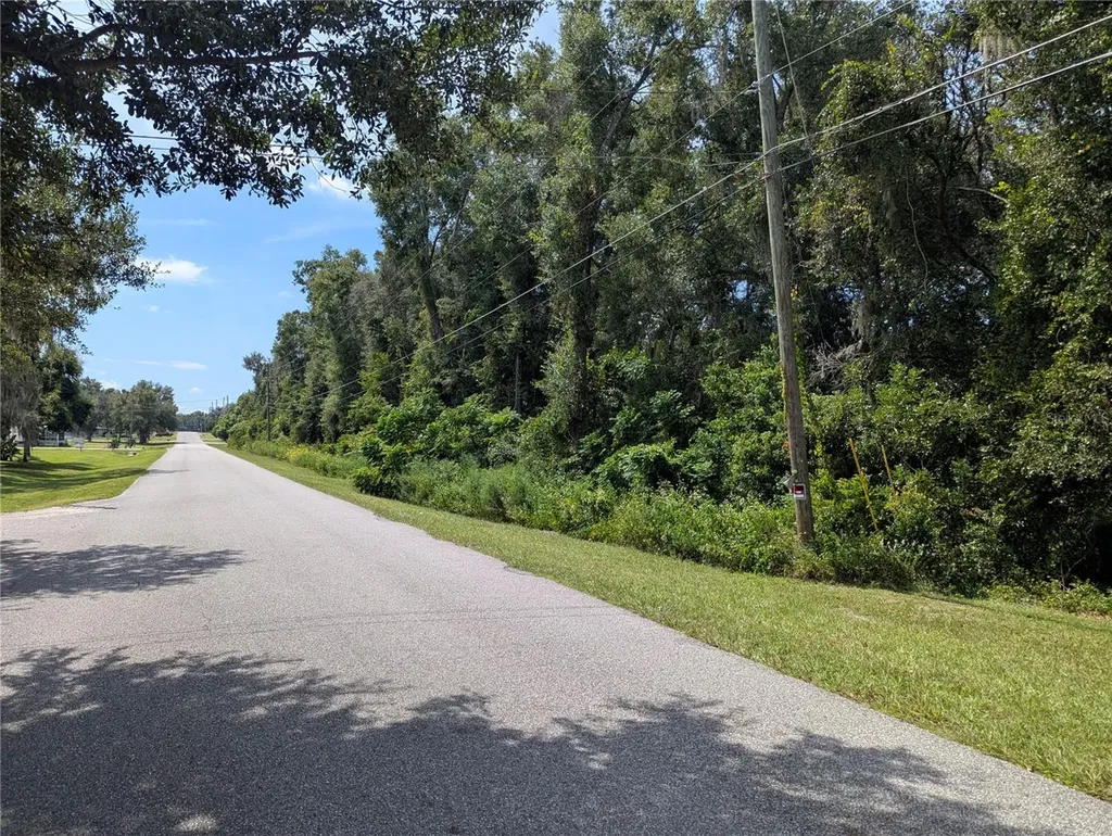 0 SE 99th Avenue Summerfield FL 34491