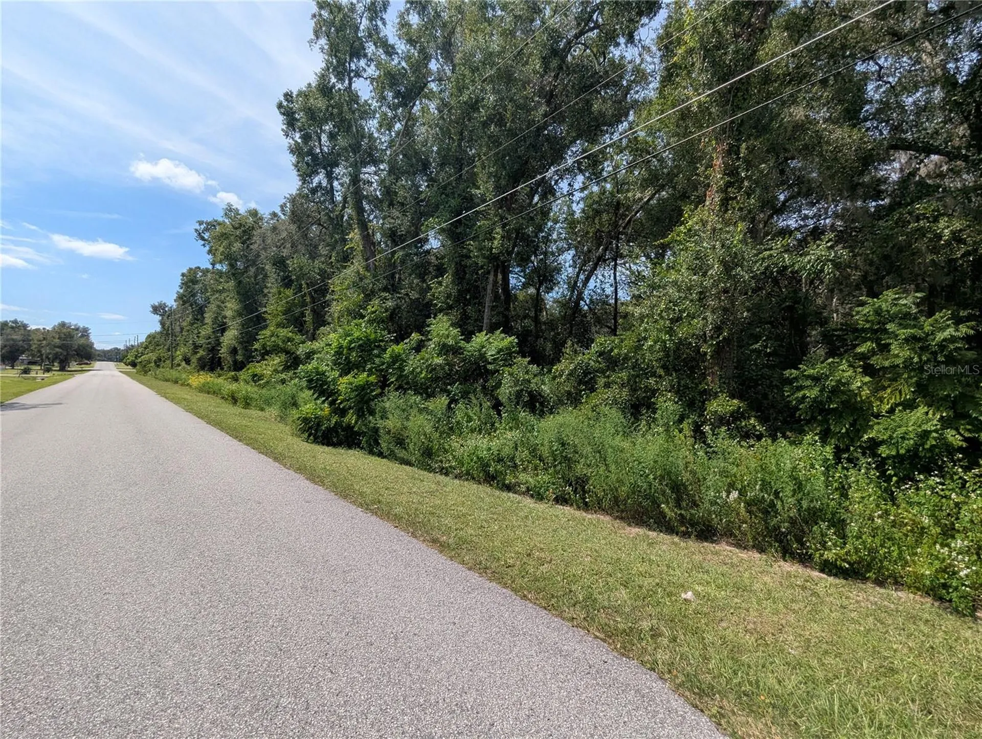 0 SE 99th Avenue Summerfield FL 34491