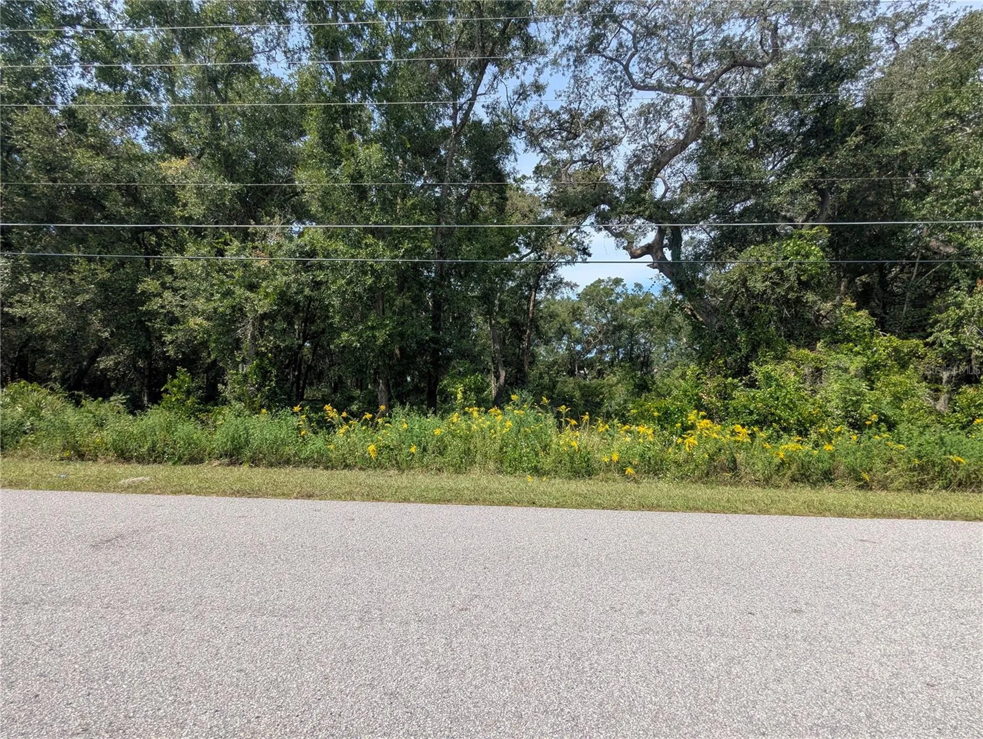 0 SE 99th Avenue Summerfield FL 34491