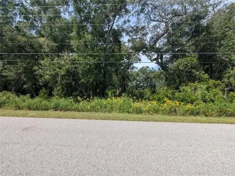 0 SE 99th Avenue Summerfield FL 34491