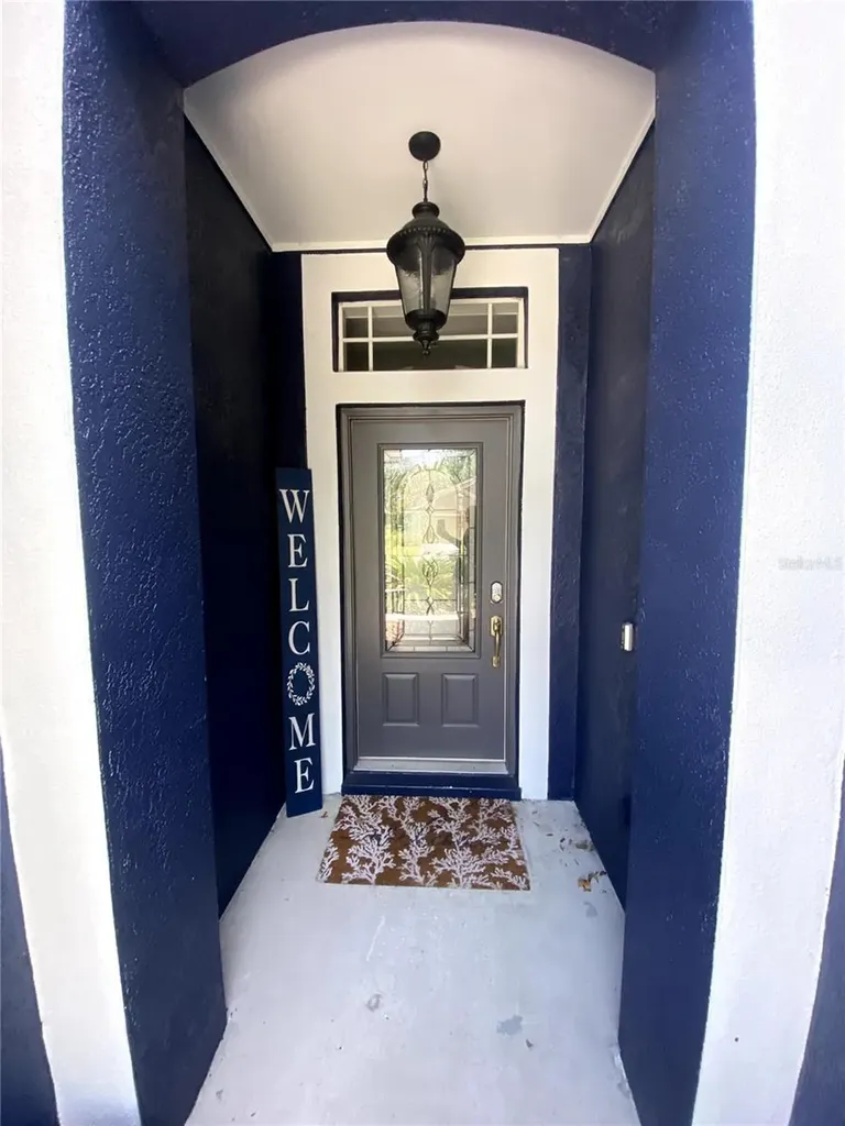 6020 Martinglade Place Lithia FL 33547