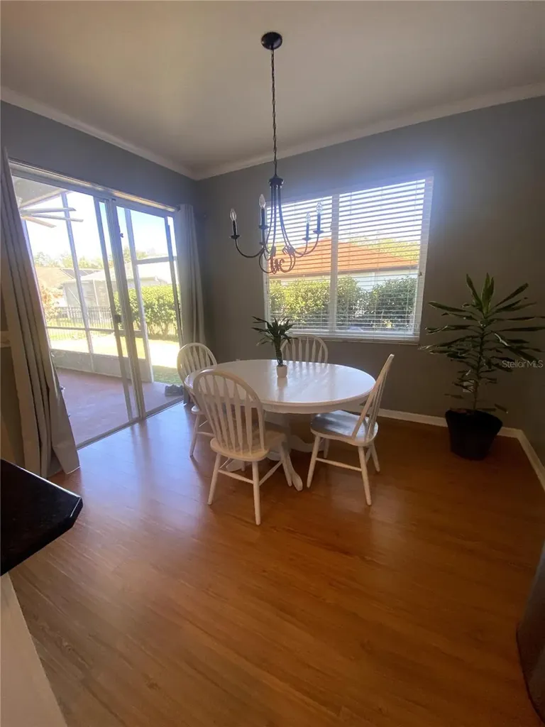 6020 Martinglade Place Lithia FL 33547