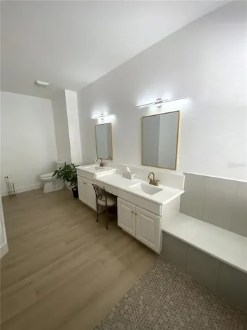 6020 Martinglade Place Lithia FL 33547