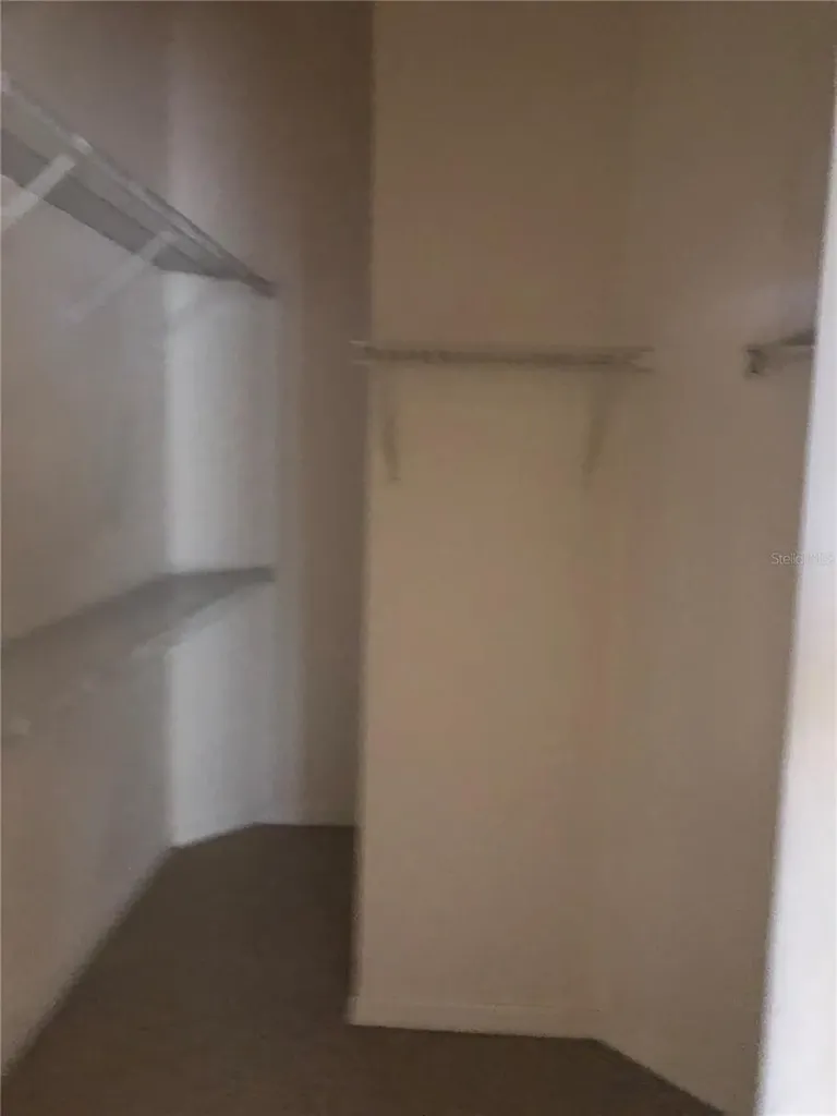 17344 Cricket Chirp Loop Land O Lakes FL 34638