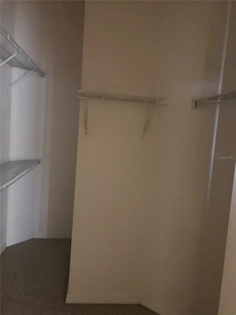 17344 Cricket Chirp Loop Land O Lakes FL 34638