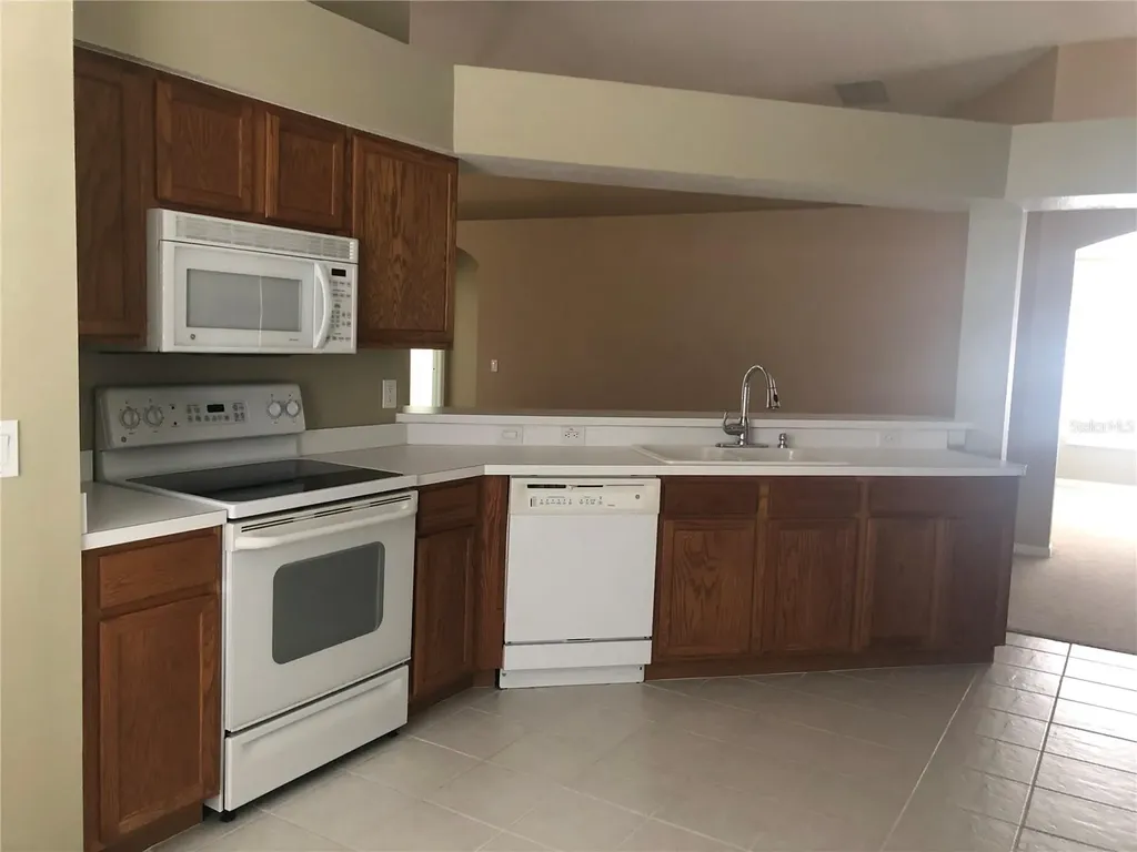 17344 Cricket Chirp Loop Land O Lakes FL 34638