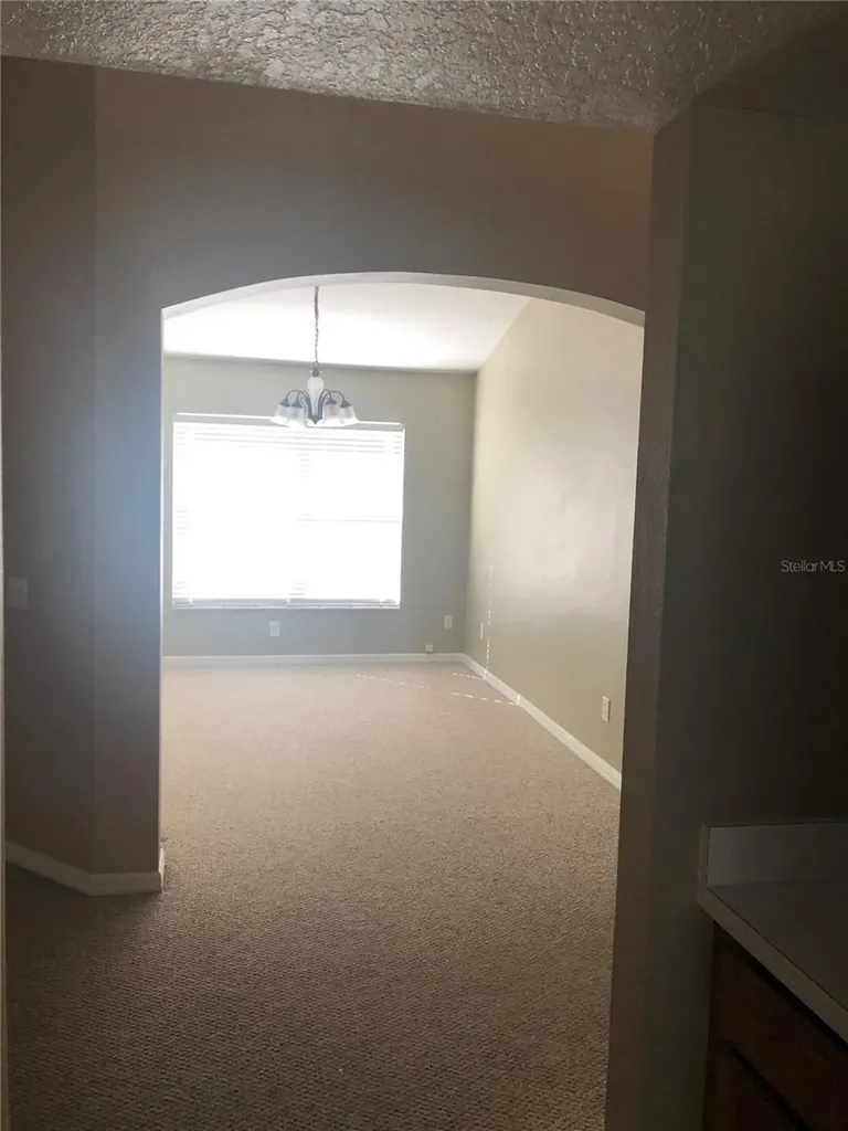 17344 Cricket Chirp Loop Land O Lakes FL 34638