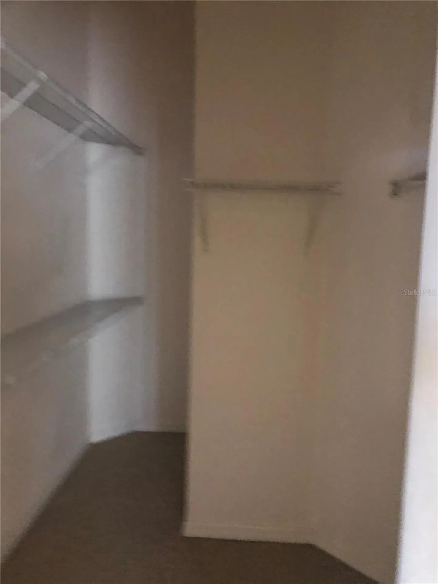 17344 Cricket Chirp Loop Land O Lakes FL 34638