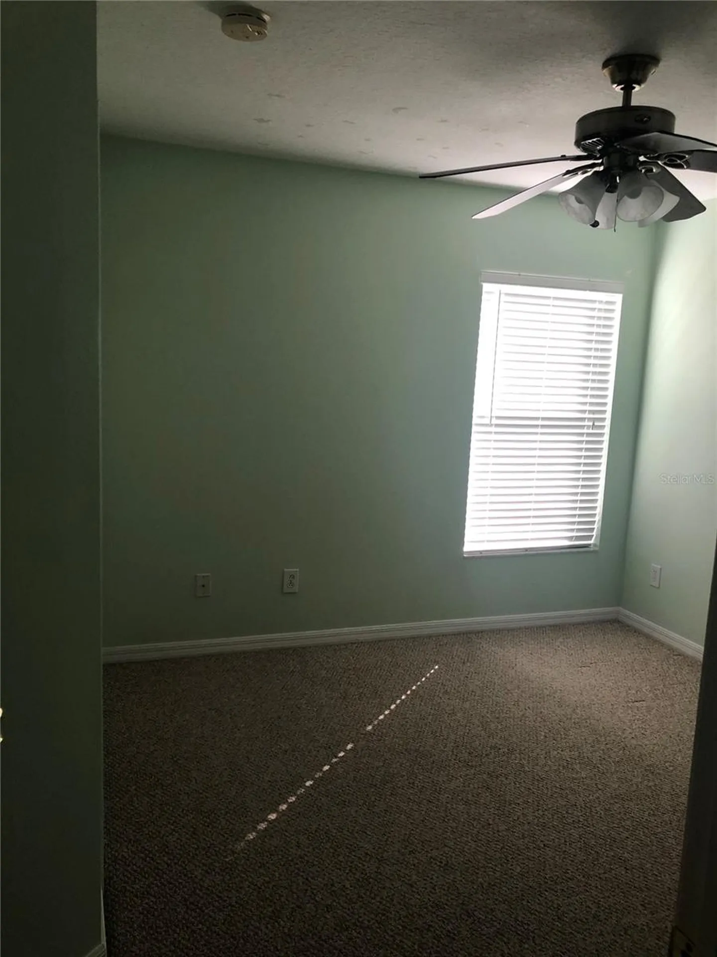 17344 Cricket Chirp Loop Land O Lakes FL 34638