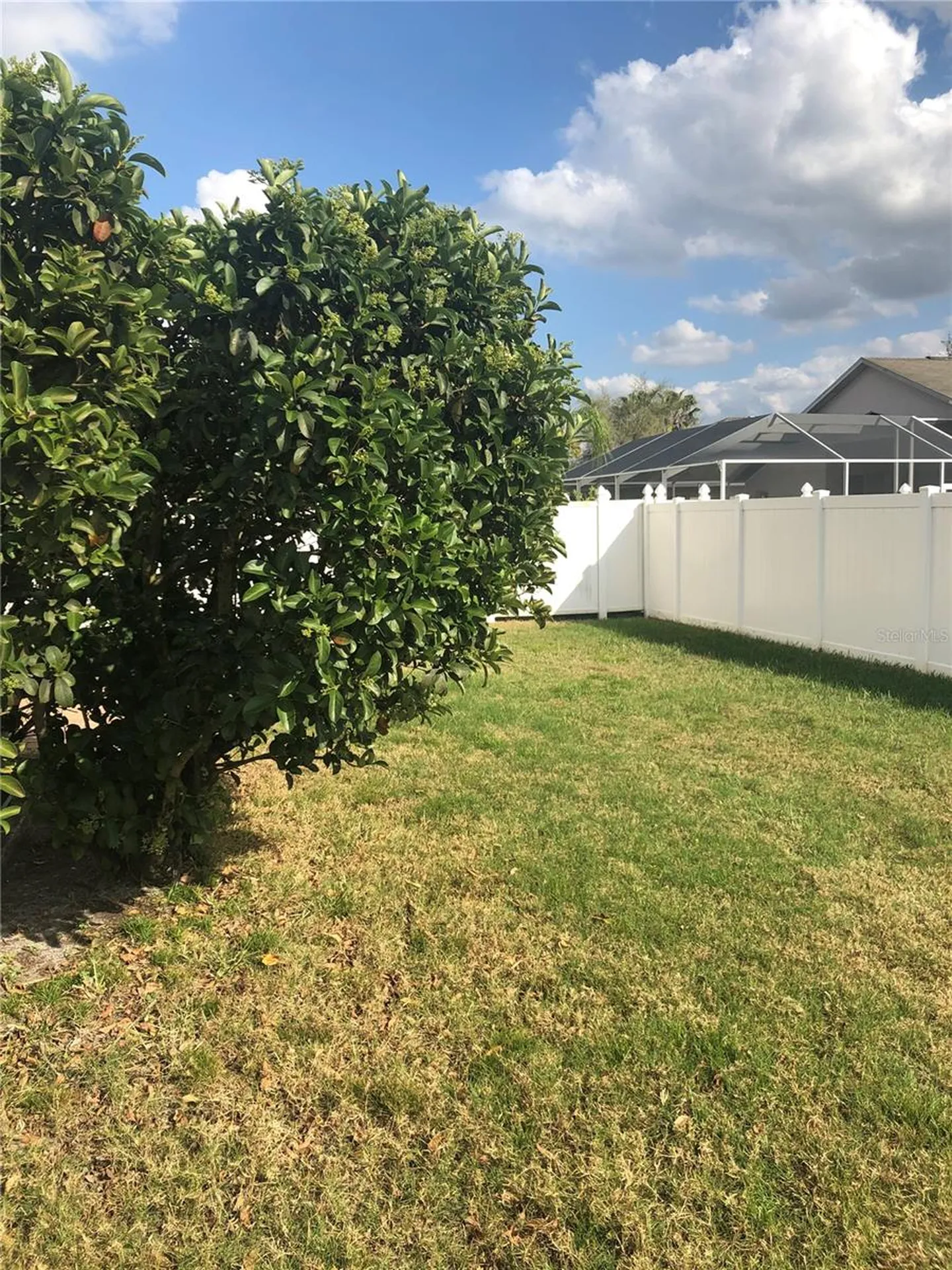 17344 Cricket Chirp Loop Land O Lakes FL 34638