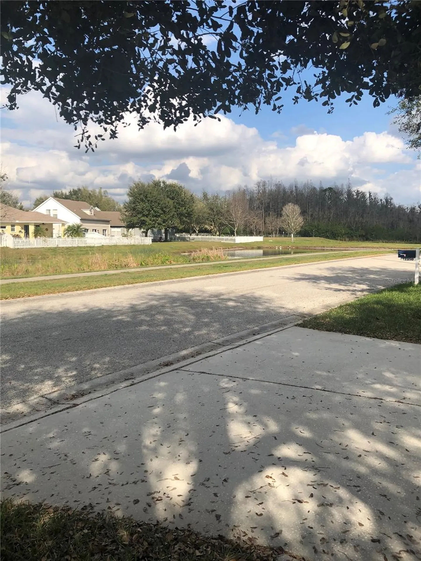 17344 Cricket Chirp Loop Land O Lakes FL 34638