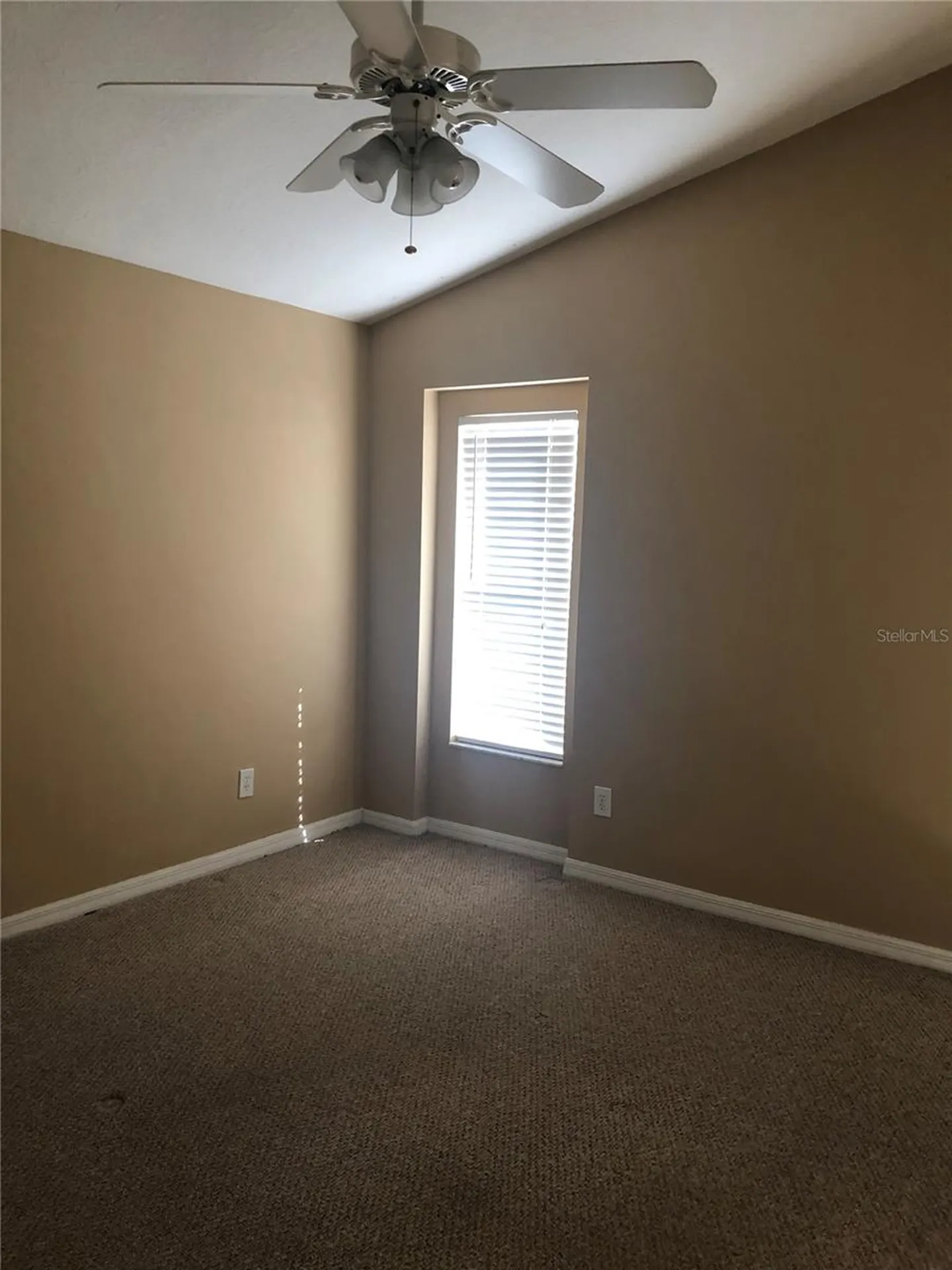 17344 Cricket Chirp Loop Land O Lakes FL 34638