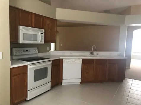 17344 Cricket Chirp Loop Land O Lakes FL 34638