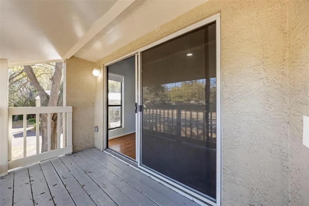 3401 Cypress Head Court Tampa FL 33618