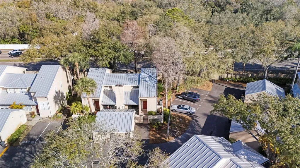 3401 Cypress Head Court Tampa FL 33618