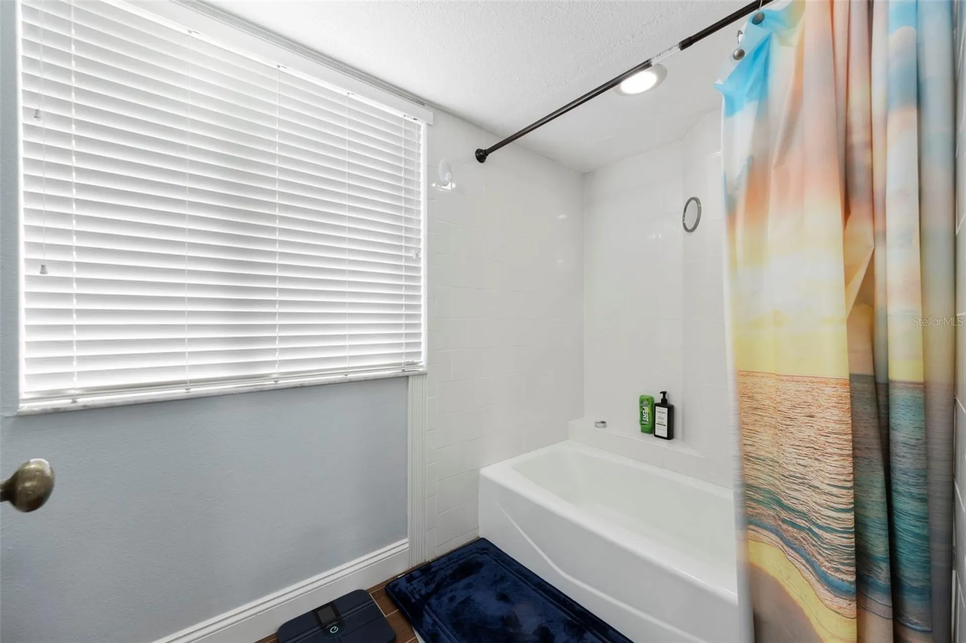3401 Cypress Head Court Tampa FL 33618