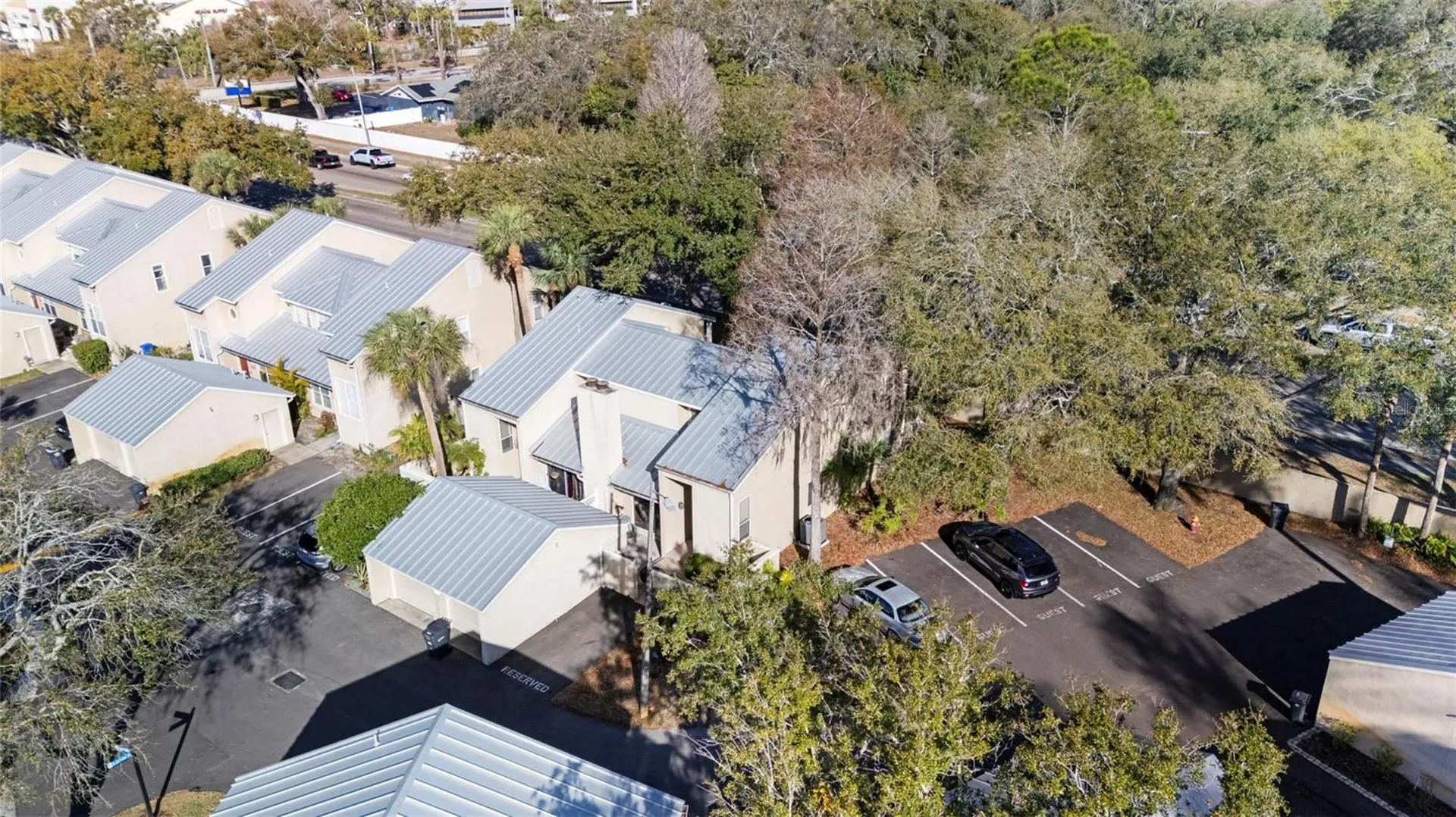 3401 Cypress Head Court Tampa FL 33618