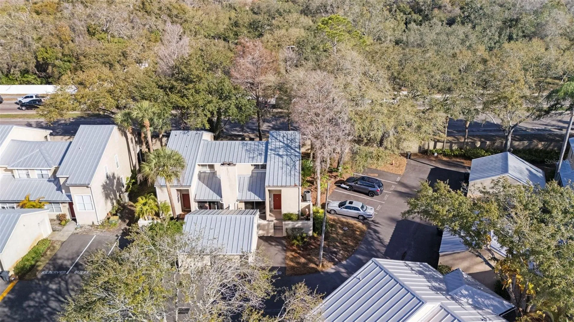 3401 Cypress Head Court Tampa FL 33618