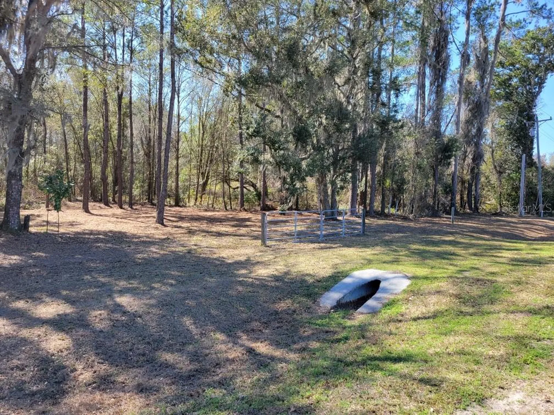 10133 SE Hawthorne Road Gainesville FL 32641