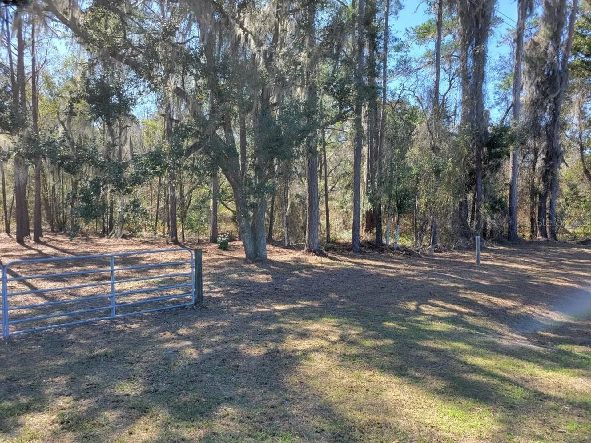 10133 SE Hawthorne Road Gainesville FL 32641
