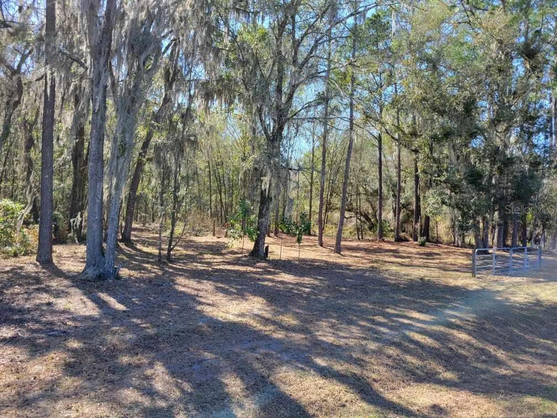 10133 SE Hawthorne Road Gainesville FL 32641