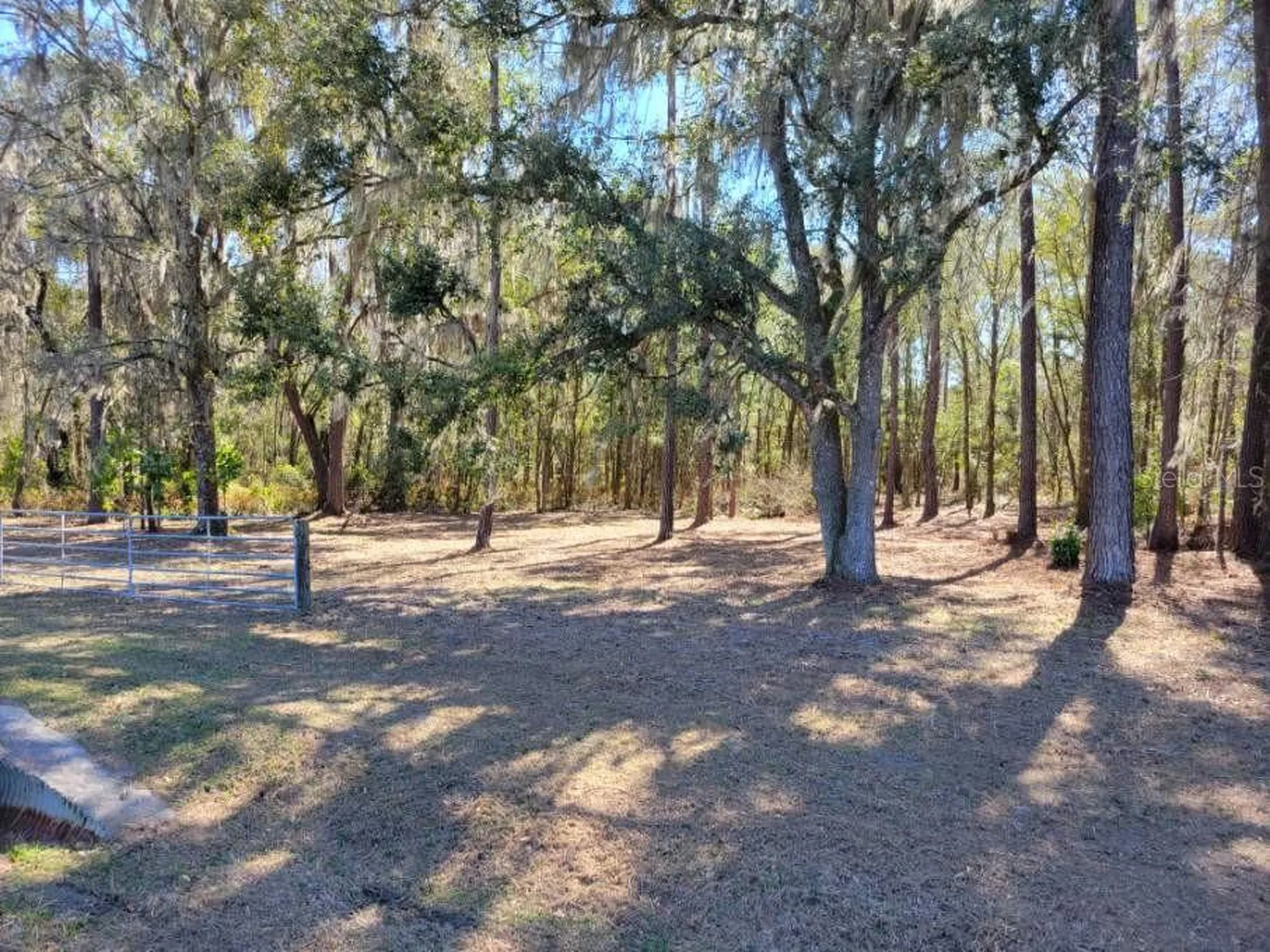 10133 SE Hawthorne Road Gainesville FL 32641