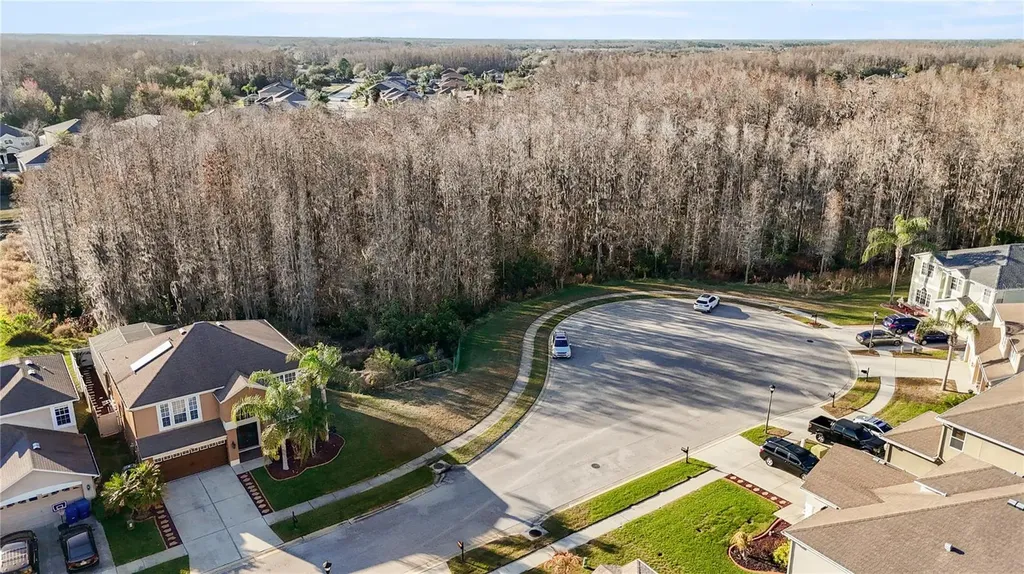 17953 Cunningham Court Land O Lakes FL 34638