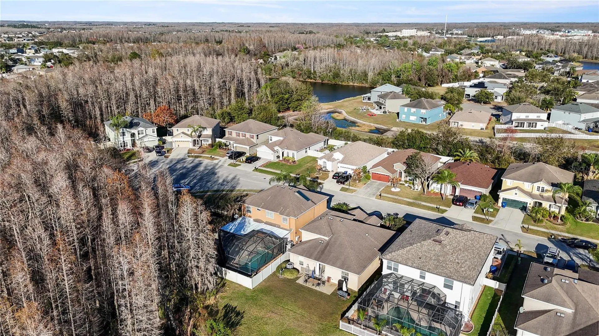 17953 Cunningham Court Land O Lakes FL 34638