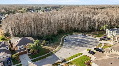 17953 Cunningham Court Land O Lakes FL 34638