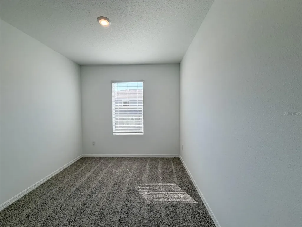 31276 Paper Birch Street Wesley Chapel FL 33545