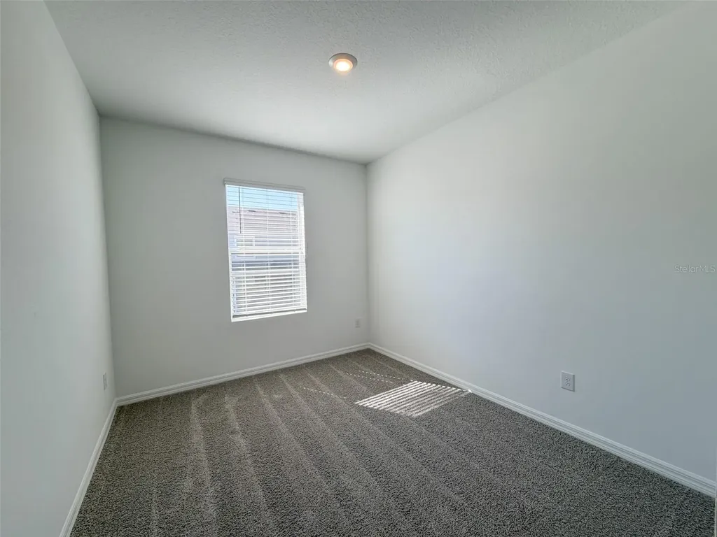 31276 Paper Birch Street Wesley Chapel FL 33545